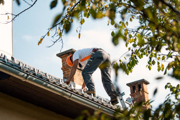 Best Storm Damage Roof Repair  in Gluckstadt, MS